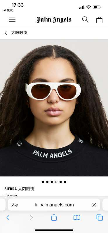Picture of Palm Angels Sunglasses _SKUfw51977464fw